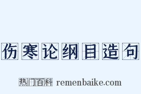 伤寒论纲目造句是什么意思的图片